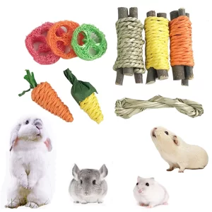 9Pcs Pet Rabbit Chew Toy Sets